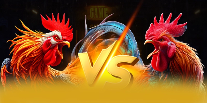 Điểm khác biệt của 8xbet trên thị trường