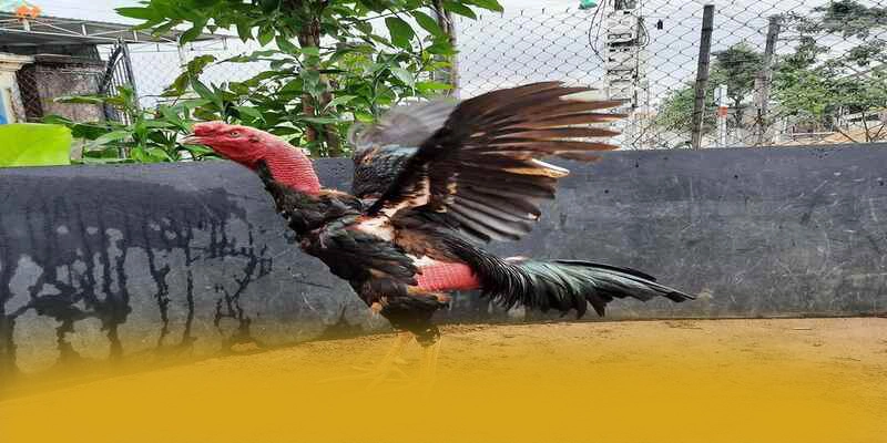 Hệ thống chăm sóc khách hàng tại 8xbet