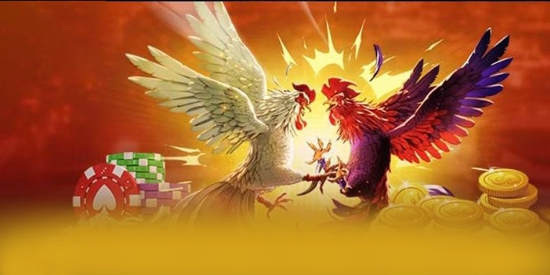 Phản hồi từ cộng đồng người chơi về BET168