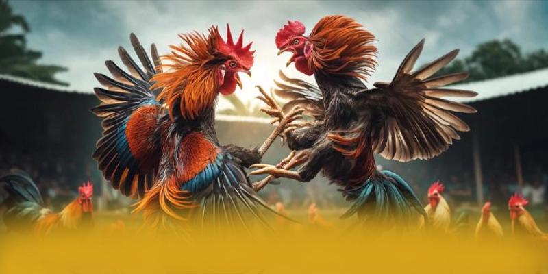 SUNWIN - Sân chơi sở hữu kho game phong phú trên thị trường